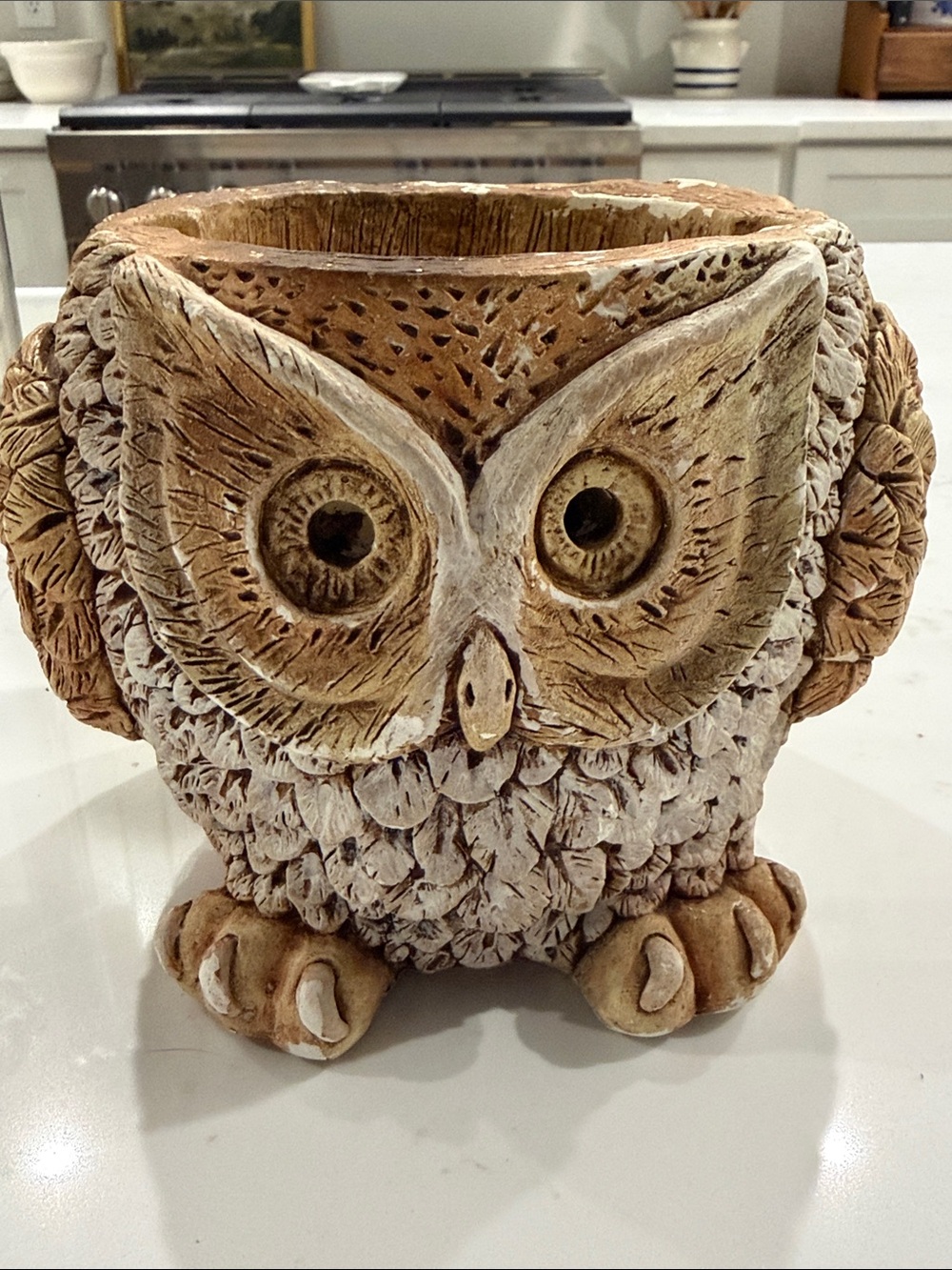 Handcrafted Owl Ceramic Planter in Natural Brown